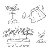 Sprouts set in sketch style. Garden vector