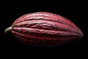 Fresh cocoa pod showing its texture on black background photo