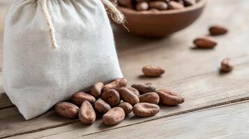 Cocoa beans filling a burlap sack and forming pile on a wooden table with a plant on the background photo