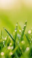 Dewy verdant grass blades sparkling under early sunlight, fresh springtime vitality and natural awakening background photo