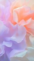 Soft pastel petals layering gently, creating tranquil floral background suggesting gentle romance and spring renewal photo