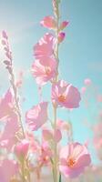Pink checker mallow flowers blooming under the summer sun against a clear blue sky, beautiful and dreamy natural scene background photo