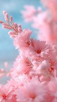 Pink checker mallow flowers blooming under the summer sun against a clear blue sky, creating a beautiful and dreamy natural scene photo