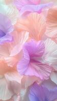 Soft pastel petals layering gently, creating tranquil floral backdrop suggesting gentle romance and spring renewal photo