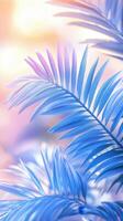 Pastel hued palm tree fronds waving softly, generating serene tropical ambiance with delicate color gradient aestheticism, light purple and sky-blue summer background photo