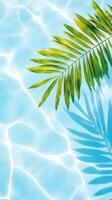 Lush palm leaves fronds mirroring turquoise water pool, casting peaceful summer reflections across luminous tropical seascape with serene vacation vibes travel background copy space for your text photo