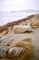 A beach with pebbles and rocks in winter in Sweden 2025 photo