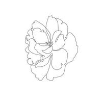 Simple line art for print. Single line Peony flower illustration. Minimalist style elegant drawing vector
