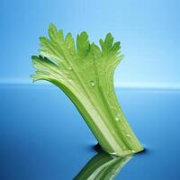 A stalk of celery with water droplets on it. photo