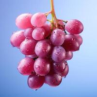 Image of a bunch of red grapes with water droplets on them. photo