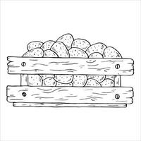 Graphics black outline potato potatoes in a wooden box. Two versions - with and without filling vector