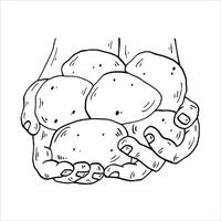 Graphics black outline hands with potatoes vector