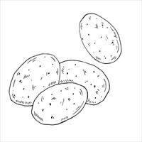 Graphics black outline handful of potatoes. Two versions - with and without filling vector