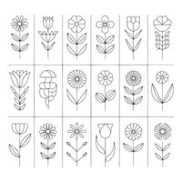 Minimalist Flower Line Art Set vector