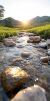 A river with a sun shining on it photo