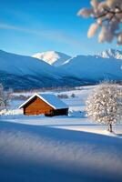 A small cabin is surrounded by snow and trees photo