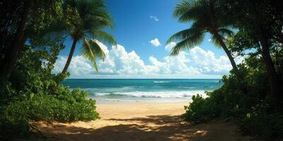 A beautiful beach scene with palm trees and a blue ocean photo