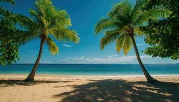 Two palm trees are on The beach with a clear blue sky photo