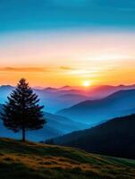 A tree stands in a field with mountains in the background photo