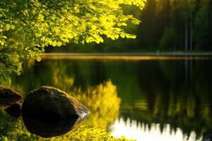The rock sits in the middle of a lake, surrounded by trees photo