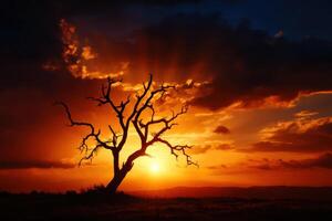 A tree is silhouetted against a sunset sky photo