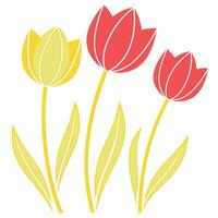 Three Simple Tulips Yellow, Red, Spring Flowers, Floral Design vector