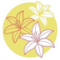 Elegant Lily Flowers Yellow, Red, White Floral Art Design vector