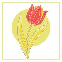Single Red Tulip Flower Bloom Springtime Yellow Circle Art vector