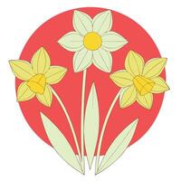 Three Daffodils Spring Flowers Red Circle Botanical Art vector
