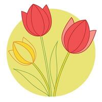 Three Colorful Tulips Spring Flowers Nature Botanical Illustration vector