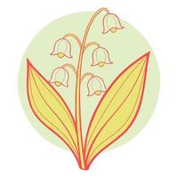 Elegant Lily of the Valley Illustration, Floral Spring Design vector