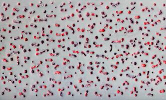 Abstract pattern texture with pierced ragged holes on a gray background on an underlay of red. photo