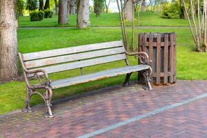 A bench in the park against the background of powerful tree trunks of the city park and green, neatly cut grass. photo