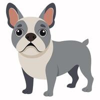 cartoon french bulldog isolated on white background. Side view. vector
