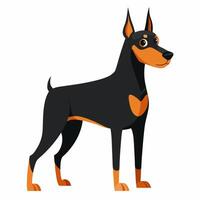 Cute cartoon dog doberman isolated on white background. Side view. vector