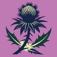 Scotch Thistle And Leaves with colorful background vector
