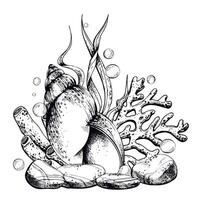 Sea shell, coral, sea sponge, algae, pebbles and bubbles. Hand drawn graphic illustration in black and white color line art. Sublimation arrangement on marine theme vector
