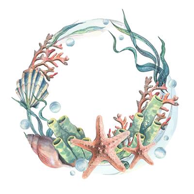 Corals, sea sponges, seaweed, shells, starfish and bubbles. Hand drawn watercolor illustration on the theme of sea animals and the underwater world. Round wreath, frame, template for text.
