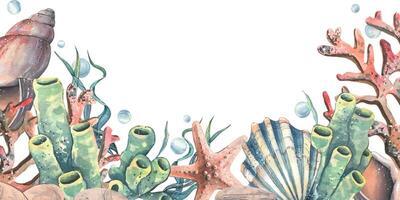 Corals, sea sponges, seaweed, shells, starfish and bubbles. Hand drawn watercolor illustration on the theme of sea animals and the underwater world. Horizontal rectangular frame, template for text. vector