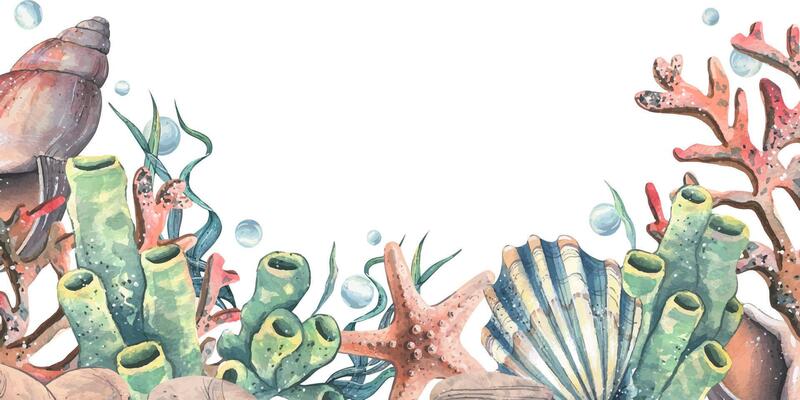 Corals, sea sponges, seaweed, shells, starfish and bubbles. Hand drawn watercolor illustration on the theme of sea animals and the underwater world. Horizontal rectangular frame, template for text.
