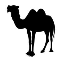 Standing Camel silhouette image vector