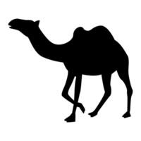 Standi Camel silhouette design vector
