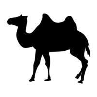 Standing Camel silhouette image design vector