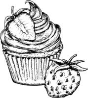 A delicious ink sketch of a cupcake topped with whipped cream and strawberries, drawn in black and white style. Perfect for baking designs, valentines and food-related creative projects. vector