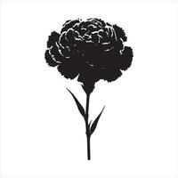 Carnation Flower silhouette white background vector