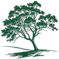 Green Tree Illustration with Simple Nature Design vector