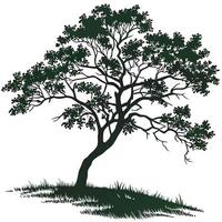 Green Tree Drawing Illustration for and Art Projects vector