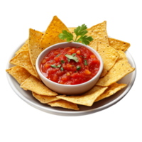 Crispy Nachos with Salsa Dip on a Plate On Transparent Background png