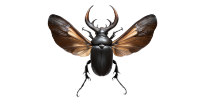 Detailed hercules beetle with open wings isolated on transparent background png
