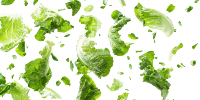 Green lettuce leaves floating in air isolated on transparent background png